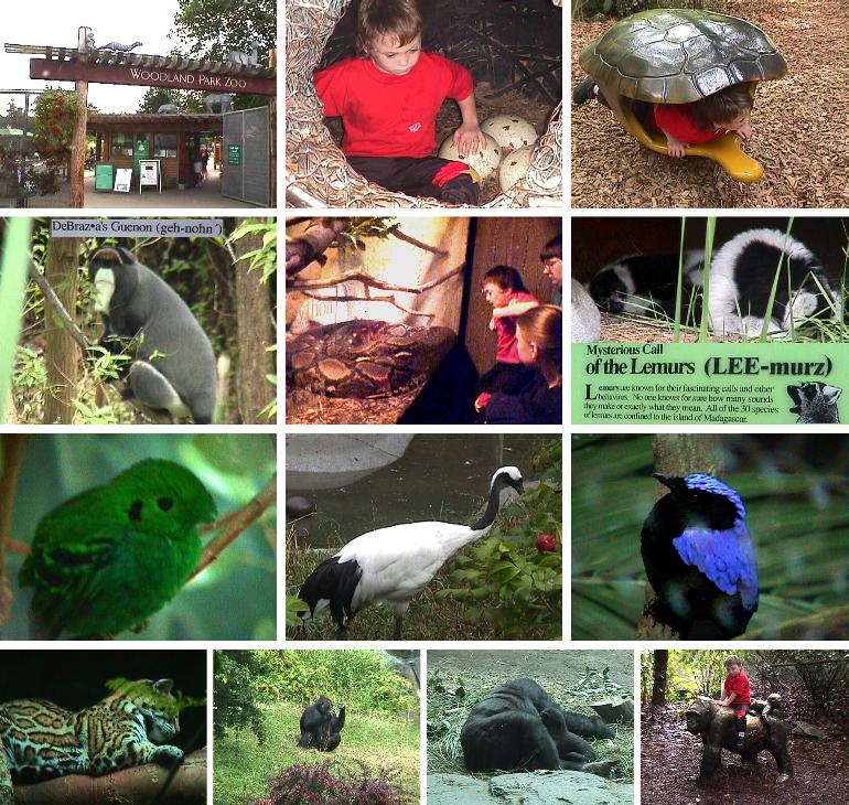 Seattle's Woodland Park Zoo