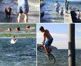 Link to Bike Divers