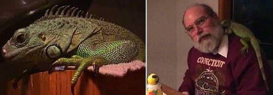 Reptar on Easter of 1998