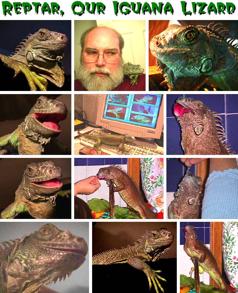 Reptar the Iguana Lizard